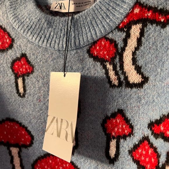 NWT Magic Mushroom Zara Knit Sweater Sold Out ππ - Picture 4 of 6